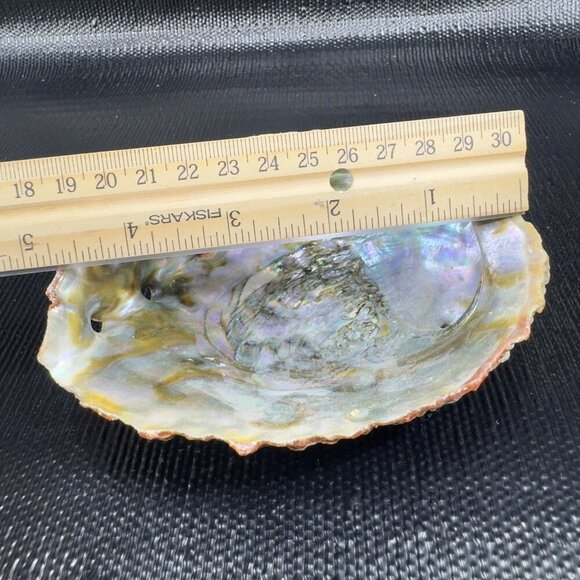 Vintage Abalone Shell Trinket Dish Mother Of Pearl Iridescent Finish Dish Bowl - Picture 4 of 16